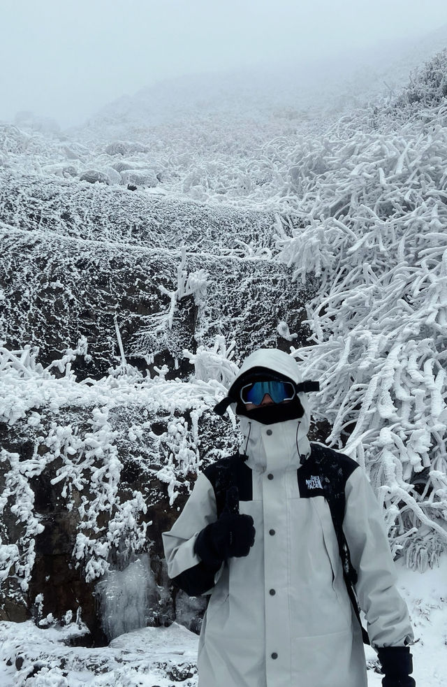 廣東周邊看雪 雲冰山避坑指南