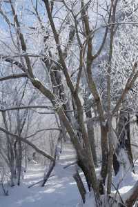 來北大湖絲滑滑雪你需要知道！