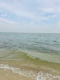 上海自駕2h小眾景點，海上威尼斯寶藏玩法揭秘