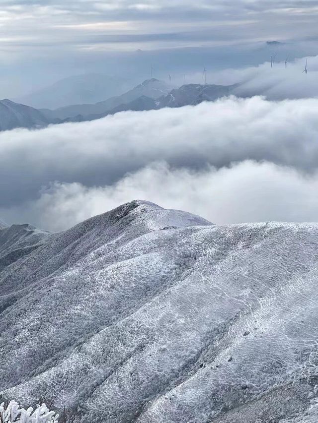 永州看霧凇，這次真是夠累的啦！