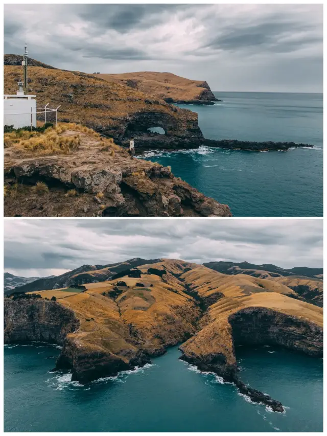 Christchurch offers breathtaking coastal hikes