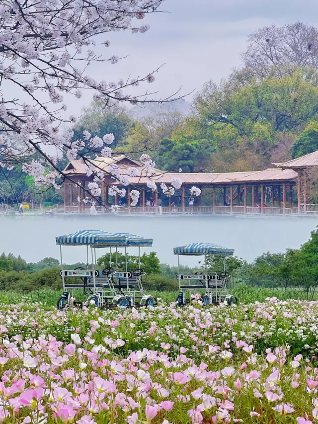 三四月的杭州，真是國內旅行天花板！值得擁有