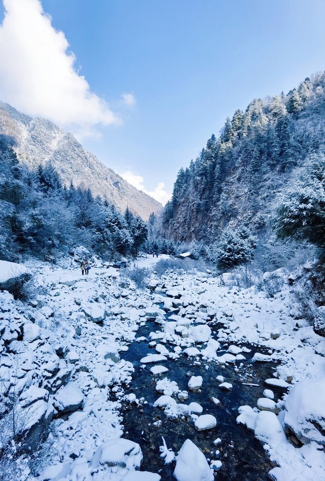 川西厄爾納溝‖南方小土豆的冰雪童話世界