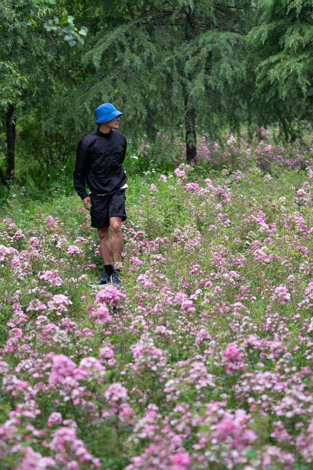 上海｜新發現奇妙樹林&好多花海，12km挑戰