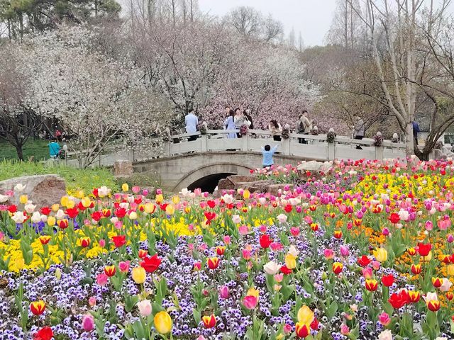 上方山百花節