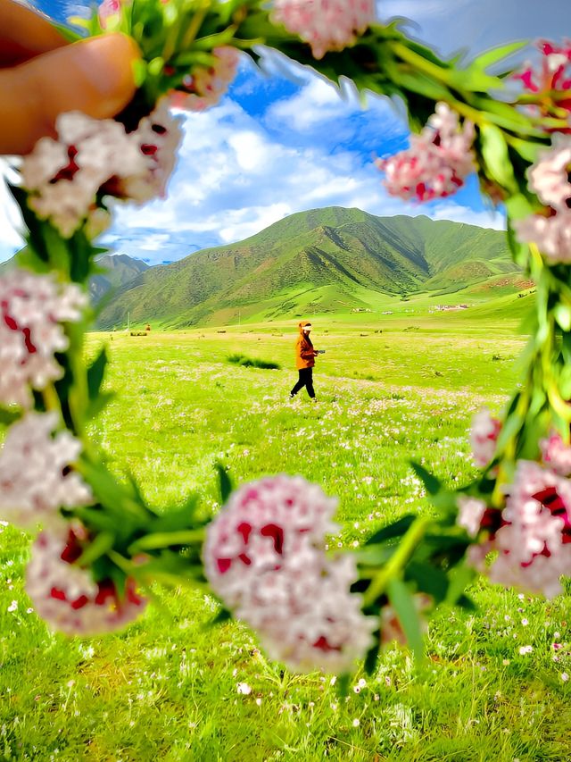 桑科草原只有兩種顏色，湛藍和碧綠