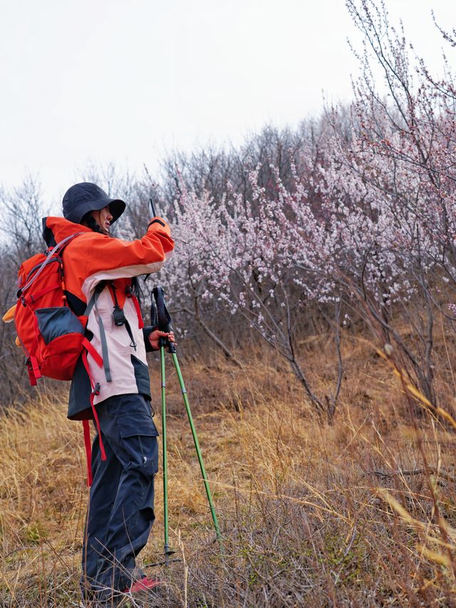 北京徒步踏青賞花無難度路線｜醜兒嶺