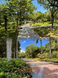 我宣布這是深圳公園天花板