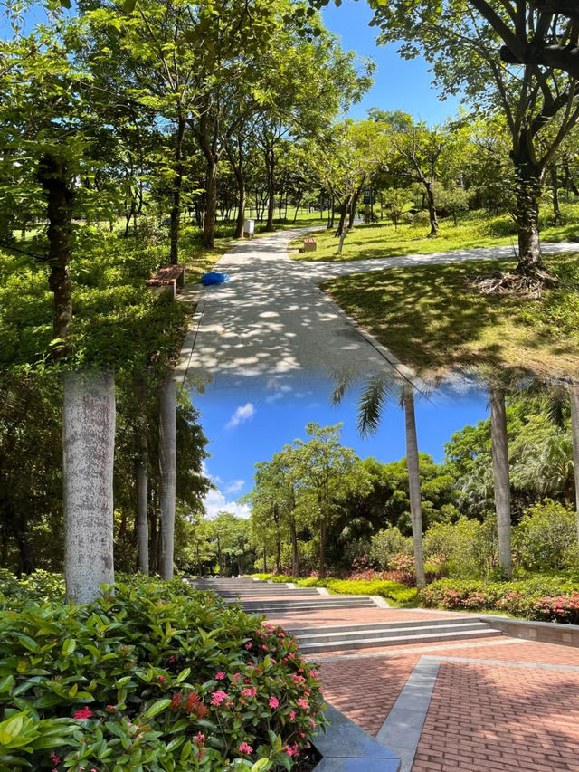 我宣布這是深圳公園天花板