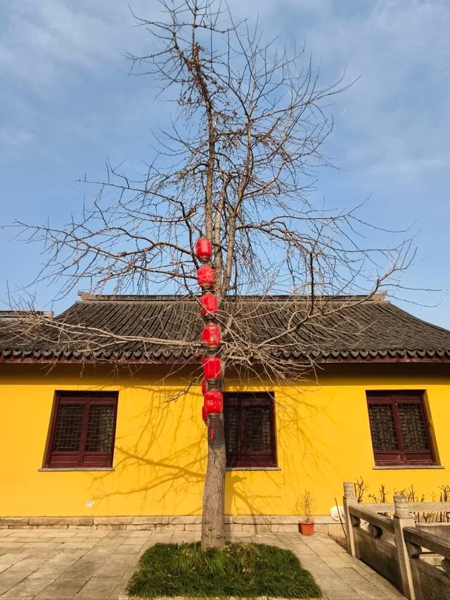 福從惠山來，無錫惠山寺的別致之美