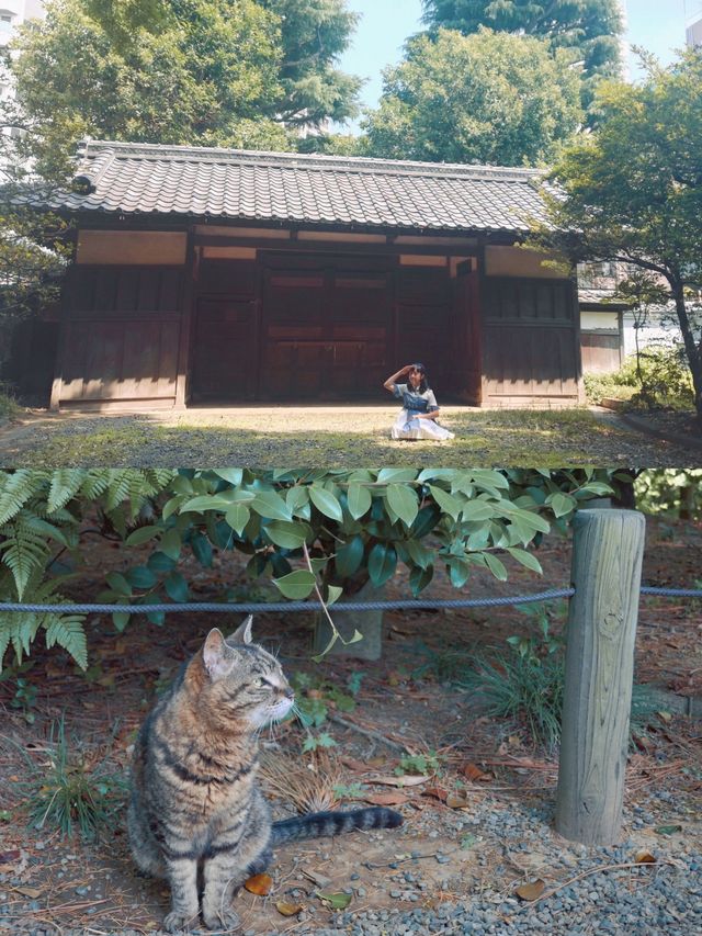 東京 | 夏天就來舊古河庭院，體驗一場古堡下午茶