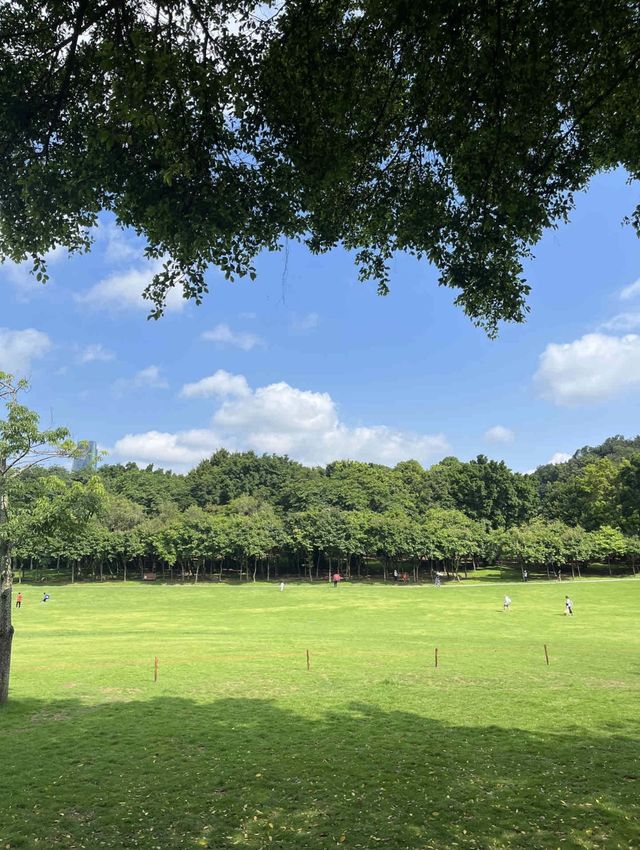 深圳灣｜最好看的海邊公園