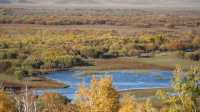 額爾古納的秋色-額爾古納濕地