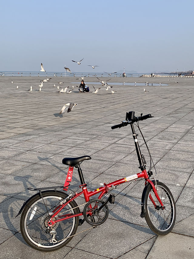 春天就是騎車天|東港海邊cityride……