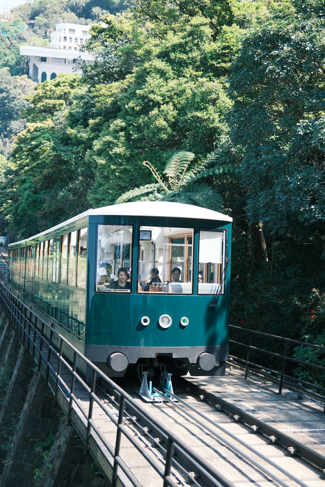 來香港太平山頂一定要坐復古纜車！附交通+拍照機位