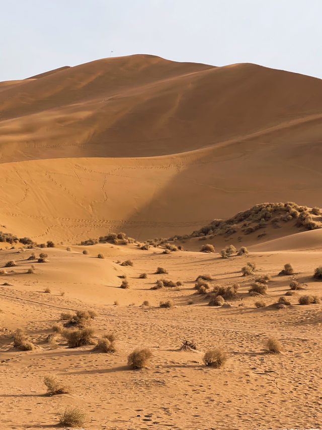 探秘離城市最近的沙漠—庫木塔格沙漠