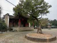 廣西自駕遊（十七）
