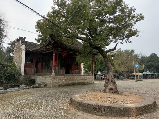 廣西自駕遊（十七）