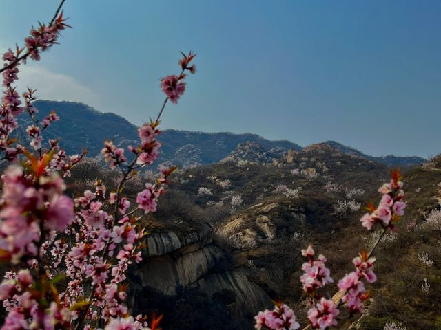 北京鳳凰嶺｜京城綠肺