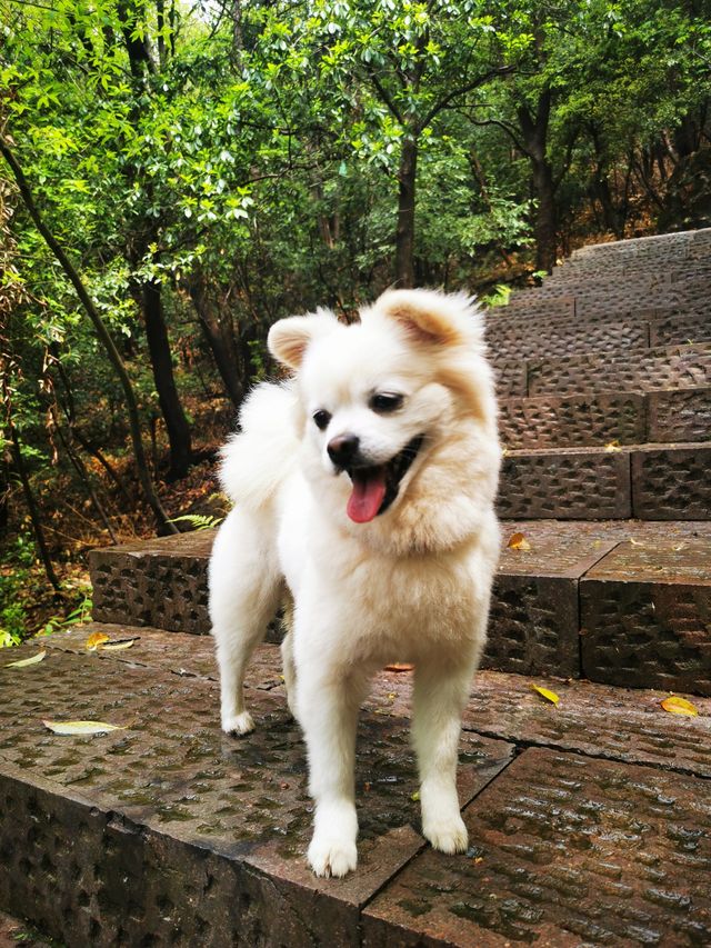 哇塞，這麼棒的賞景勝地，一眼望三江一湖！