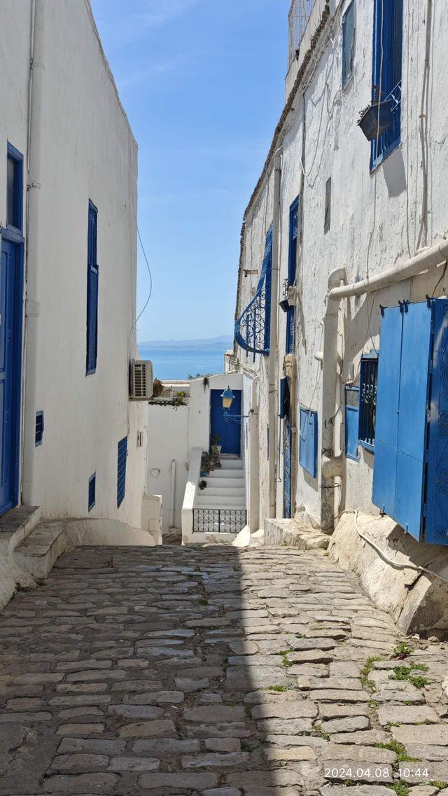 突尼斯的藍白小鎮：西迪·布·賽義德（1）