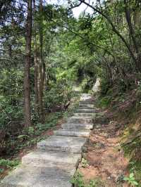 長沙·黑麋峰森林公園徒步