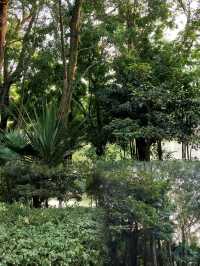 徐聞人民公園最全攻略