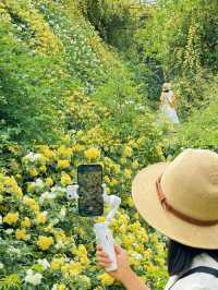 西安周邊！這裡仿若愛麗絲的秘境花園