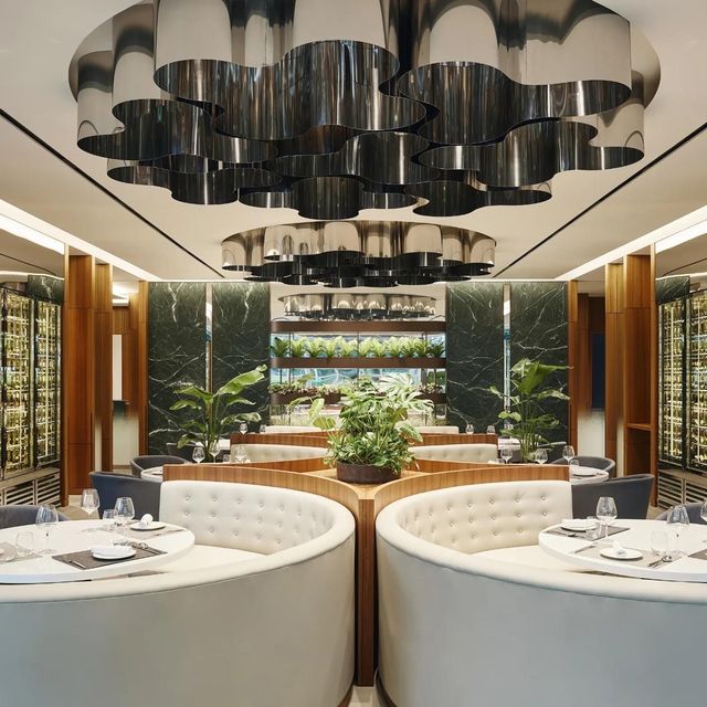 首爾酒店：Mayfield(玫菲爾)酒店綠地上的五星級酒店