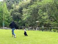 房車露營｜安吉樂那湖營地帶娃去沒有天花板的地方