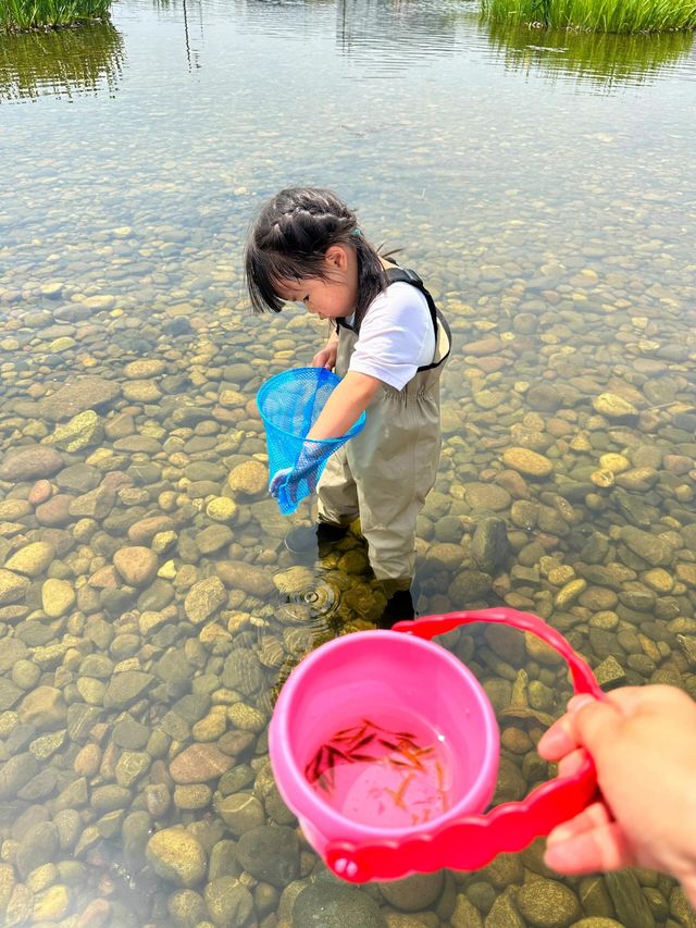 成都遛娃｜捞鱼、摸虾、玩水寶藏公園||