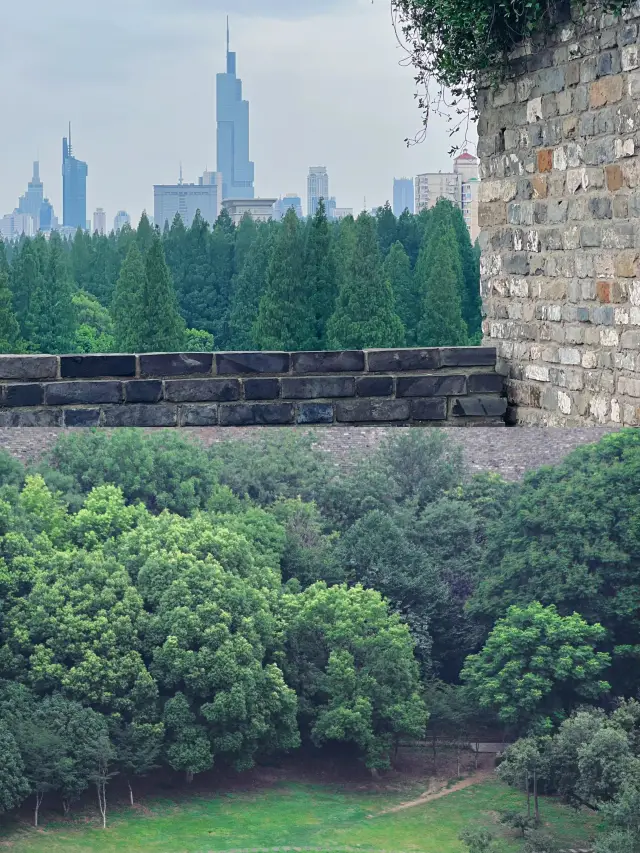 Nanjing | It's a secret passage, it's the Ming city wall, it's the best spot to view Zijin Mountain