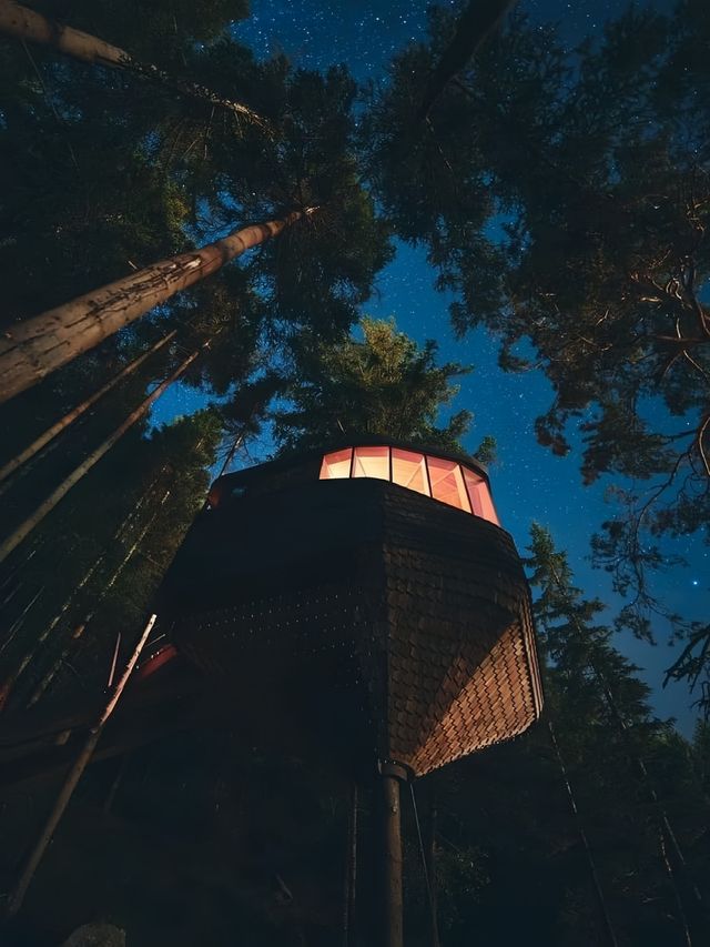 Woodnest｜走進小木屋的童話世界