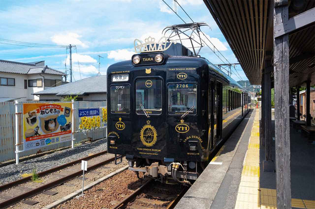 貓奴麼？一定要去日本坐一次三花小玉電車。