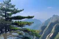 黃山的呼喚：與雲為友，與峰對話