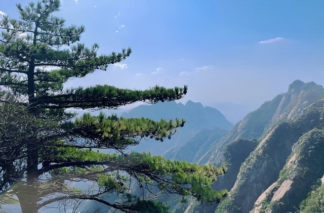 黃山的呼喚：與雲為友，與峰對話