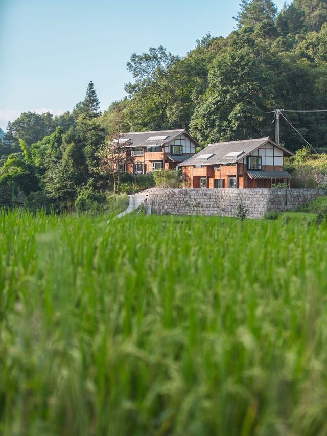 此生必睡｜在貴州隱世村落住到了人生民宿！！！