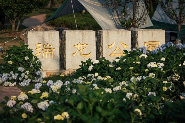 這個村的繡球花，才能稱作無盡夏的盛宴