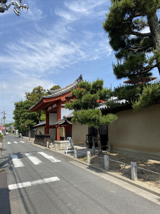 水稻田間，遙看藥師寺