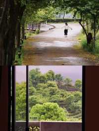 誰懂嶺南紅葉世界天空之境含金量