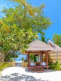 🌴 Maldives Bliss: Banyan Tree Vabbinfaru's Top Picks 🏝️