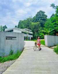 雅安旅行｜邂逅超治愈的茶山民宿