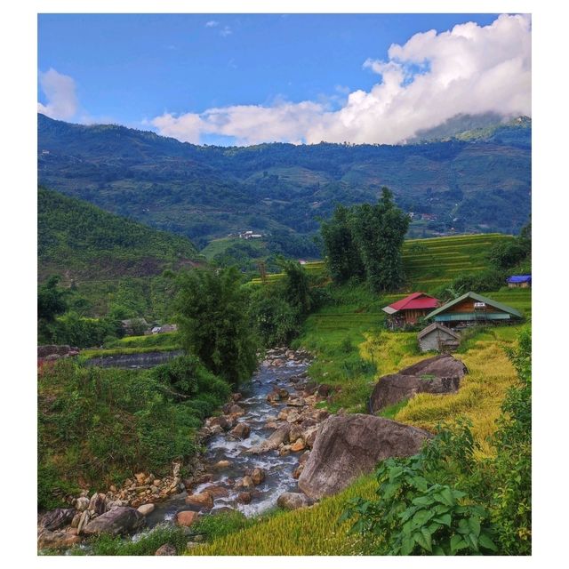 Sapa Vietnam ซาปา ซาเปา
