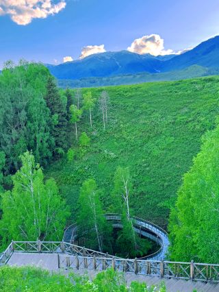 新疆禾木美麗峰，夏日避暑的夢幻之地