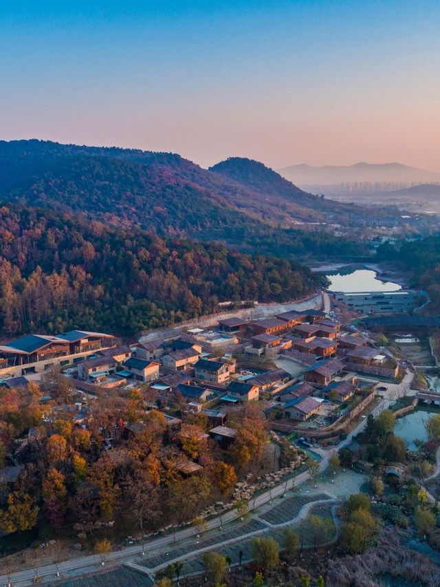 🌲🛌 Nanjing's Nature Retreat: Top Hotel Escapes 🏞️🍃