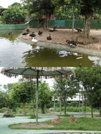 夏日遛娃避暑聖地 平南消防公園