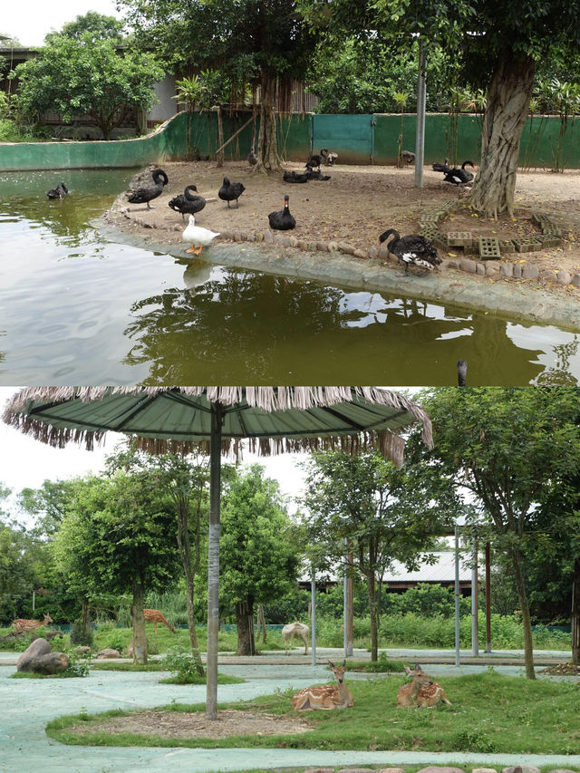 夏日遛娃避暑聖地 平南消防公園