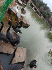 放鬆仙境——大陽山國家森林公園