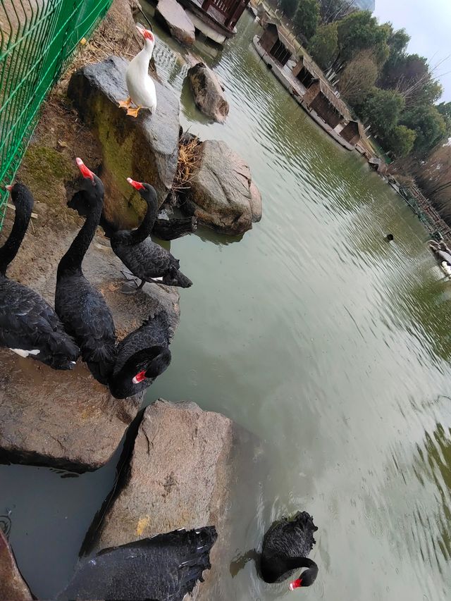 放鬆仙境——大陽山國家森林公園