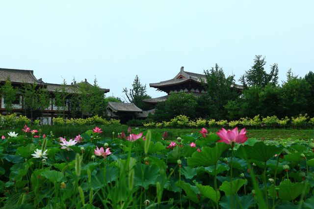 廊坊｜隆福寺——免費齋飯、舍粥